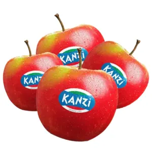 Listing Logo